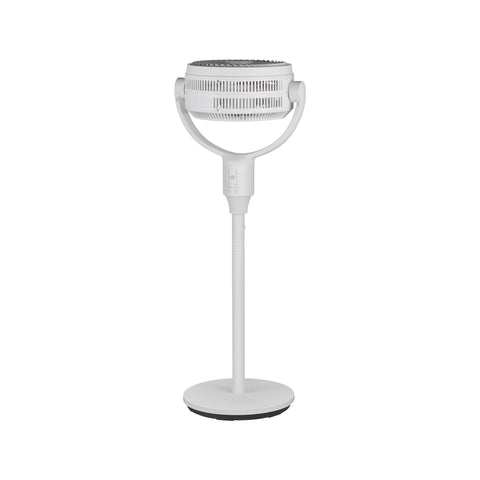 Ventilador de circulación AnySeason 10"